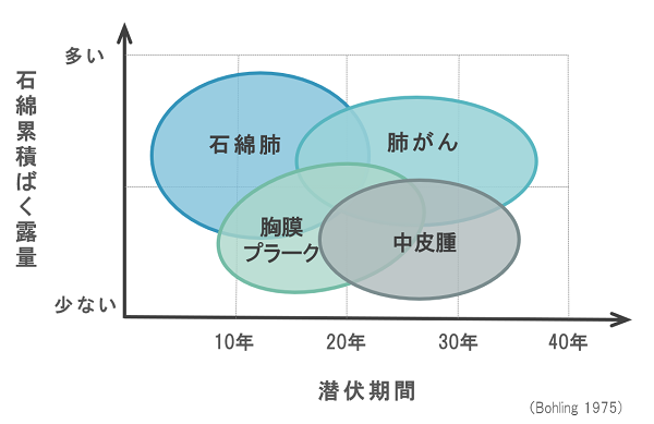 石綿粉じんの累積ばく露量と疾患の潜伏期間の関係図